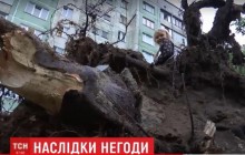 В Луцке пронесся ураган: город затопило и засыпало градом (видео)