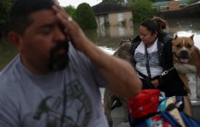 Сильные дожди вызвали потоп в Техасе (фото, видео)