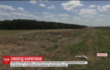 Скандал із "Гаврилівськими курчатами": пташиний могильник досі псує повітря під Києвом (відео)