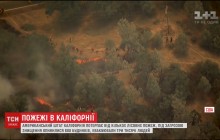 В Калифорнии из-за сильных лесных пожаров эвакуируют людей (видео)