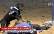 Робив масаж серця: цуценя спробувало врятувати поліцейського і стало зіркою мережі (відео)