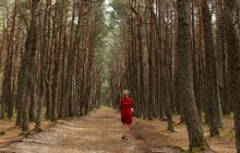 Справу харківських поліцейських, які вибивали з жінки зізнання в лісі, направили до суду