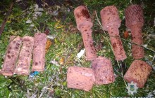 На Житомирщині чоловік підірвався на міні часів Другої світової війни на власному подвір'ї