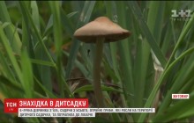 В Житомире 4-летняя девочка съела найденные на территории детсада грибы и чуть не умерла (видео)