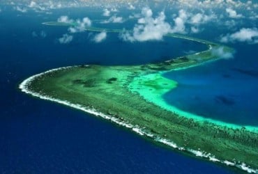 Большой Барьерный риф не раз возрождался после массовой гибели кораллов - ученые