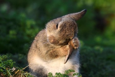 Тепло повертається: у вівторок в Україні потеплішає до +23° (карта)