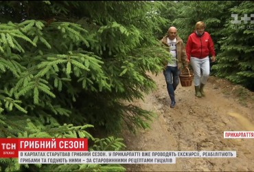 В Прикарпатье проводят грибные экскурсии и кормят по старинным рецептам гуцулов