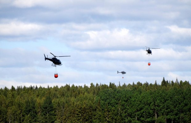 Бажання зробити гарне фото змусило корейську туристку шість днів виживати в австралійському нацпарку (відео)