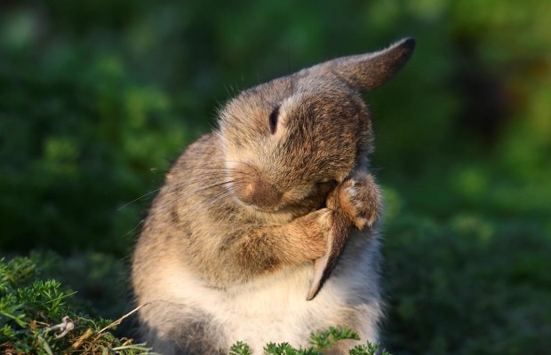 6 листопада 2020 - яке сьогодні свято, прикмети та іменинники, що сьогодні не можна робити