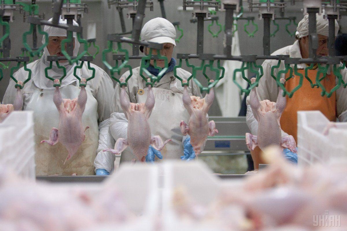 В ЄС діяла заборона на імпорт української курятини / фото УНІАН