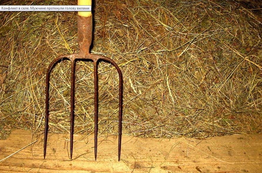 Рівненського поліцейського побив селянин з вилами / vzsar.ru
