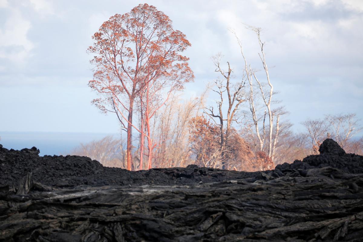 Иллюстрация / REUTERS