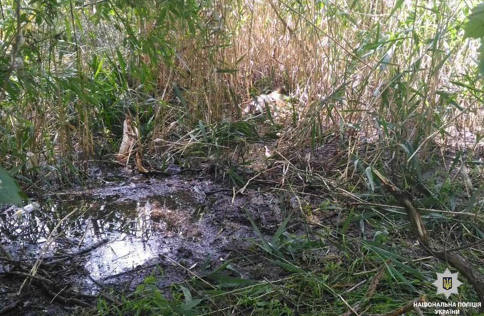 Тело девочки нашли 5 июля / фото ГУ Нацполиции
