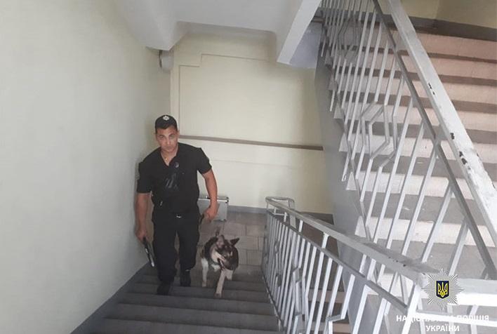 Полицейские устанавливают все обстоятельства происшествия / Фото dp.npu.gov.ua Полицейские устанавливают все обстоятельства происшествия / Фото dp.npu.gov.ua