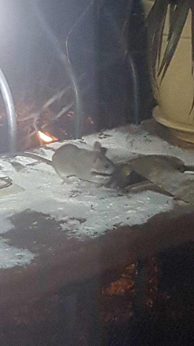 фото RoksolanaToday&Крым