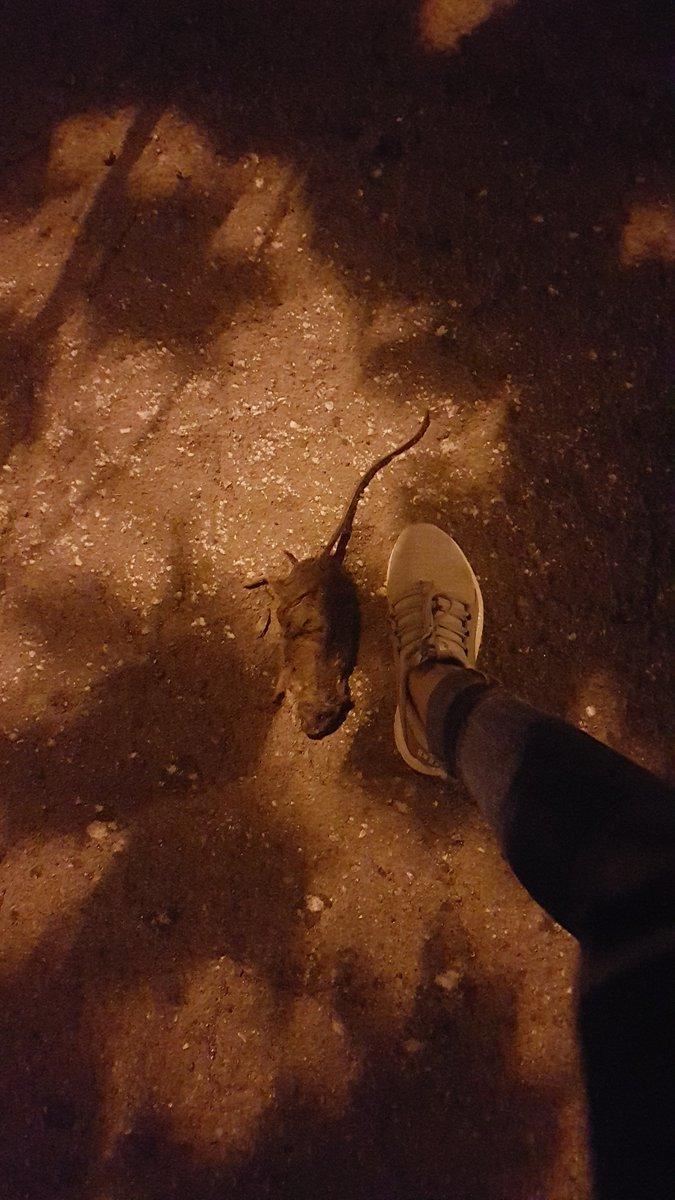 фото RoksolanaToday&Крым