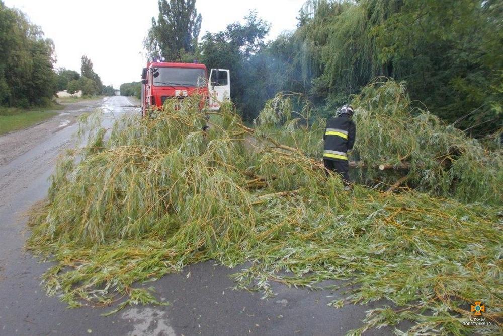 В Тернопольской области ураган повалил деревья / Фото ГСЧС
