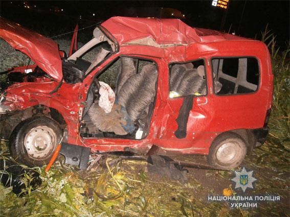 Внаслідок ДТП загинули водій та пасажирка легковика / фото lv.npu.gov.ua Внаслідок ДТП загинули водій та пасажирка легковика / фото lv.npu.gov.ua