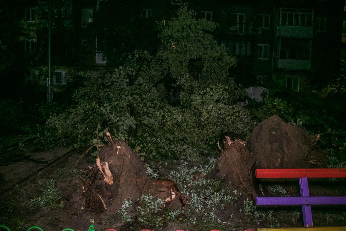 фото Дмитрий Щерблюк / Информатор фото Дмитрий Щерблюк / Информатор