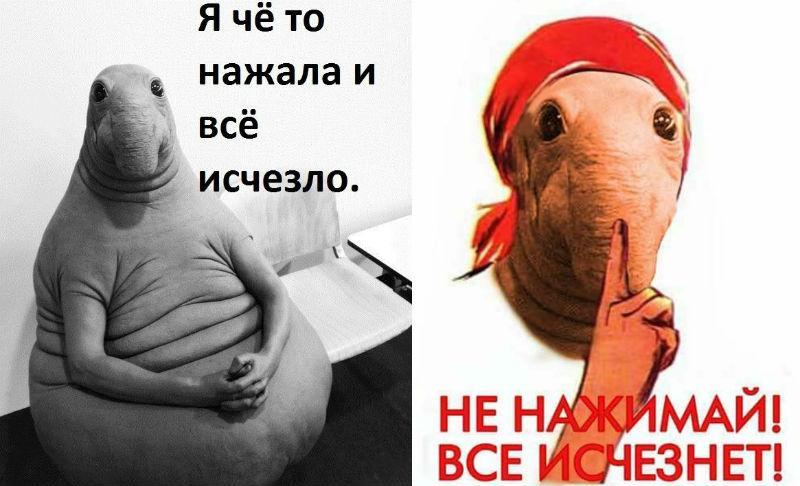 День сисадмина-2018: происхождение праздника, поздравления и мемы День сисадмина-2018: происхождение праздника, поздравления и мемы