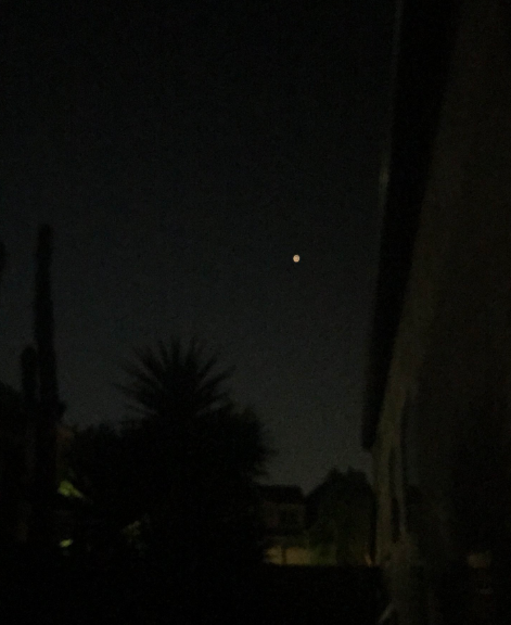 фото twitter.com/mystealthXflies