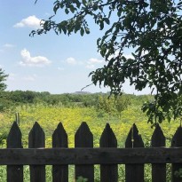 JCCC: Number of heavy weapons, military hardware in occupied Donbas skyrockets by 8.5 times in July