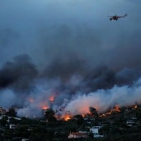 Лесной пожар в Греции показали из космоса (фото)