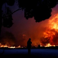 Количество жертв лесного пожара в Греции возросло до 50 человек (фоторепортаж)