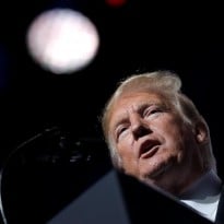 Trump wants Germany, France involved in settling Ukraine-Russia row around Azov Sea