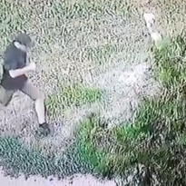 В Херсоне активистку облили кислотой: полиция показала нападавшего на видео
