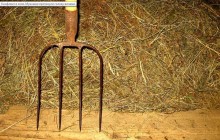 На Ровенщине нетрезвый мужчина ударил вилами полицейского