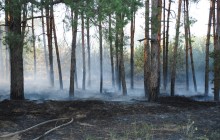 У п'яти областях України зберігається надзвичайна пожежна небезпека