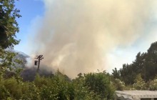 Через лісові пожежі в Каліфорнії евакуювали жителів п'яти населених пунктів