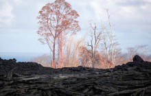 Вулкан Кілауеа на Гаваях не заспокоюється: через нове виверження евакуювали три тисячі осіб