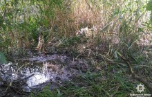 На Дніпропетровщині поховали жорстоко вбиту серед білого дня 13-річну школярку (відео)