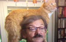 Кот ворвался в политическое интервью и стал героем сети (видео)