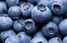 China opens its market for Ukrainian blueberries, bilberries