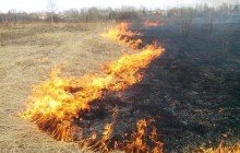 За добу на Донеччині сталося 18 пожеж на відкритих територіях
