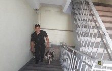 В Днепропетровской области полиция расследует факт поджога неизвестными редакции местной газеты