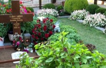 Православні з усієї Греції напередодні дня пам'яті преподобного Паїсія Святогорця прибули на його могилу (фото, відео)
