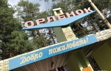 Масове отруєння у таборі на Донеччині: носіями дизентерії виявилися двоє працівників кухні