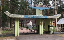 Массовое отравление в детском лагере на Донетчине: у детей диагностировали дизентерию (видео)