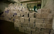 В Вышгороде полгода тестировали европейскую модель обращения с отходами