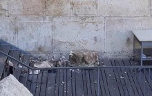 Фахівці Управління старовини розповіли, чому від Стіни плачу відколовся камінь (рос.)