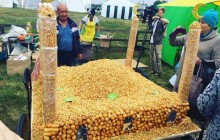 У Татарстані на честь свята з'їли 100-кілограмову мечеть зі східних солодощів