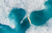 З висоти пташиного польоту: визначено найкращі фото 2018 року, зроблені з дронів (фотогалерея)