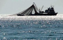 "В тяжкому становищі": адвокат розповів про утримуваних в Криму українських моряків судна "ЯМК-0041"