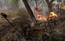 Число жертв лесных пожаров в Калифорнии возросло до восьми человек