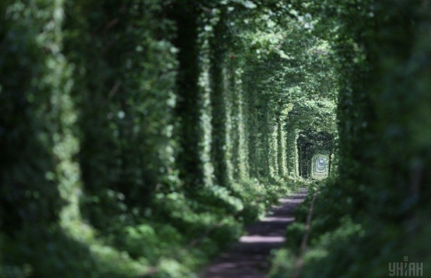 Въезд в «Тоннель любви» в Ривненской области для туристов сделали платным