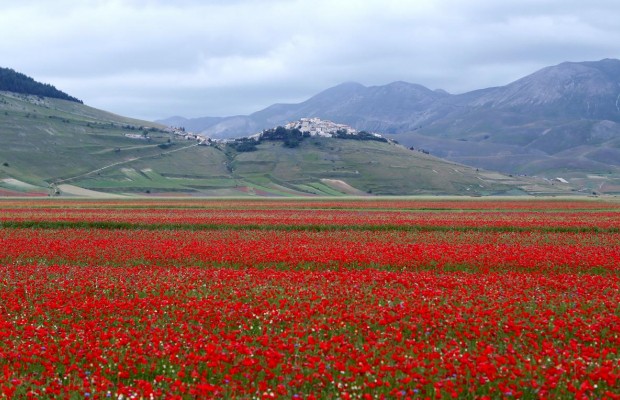 В Италии замок сдают в аренду за $100